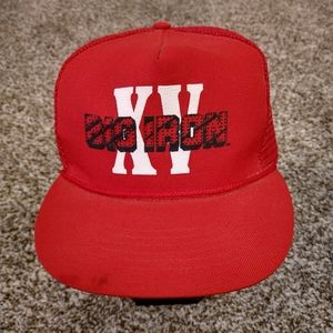 Vintage 1995 Big Iron XV Mesh Snapback Farm Show Hat Otto Cap
